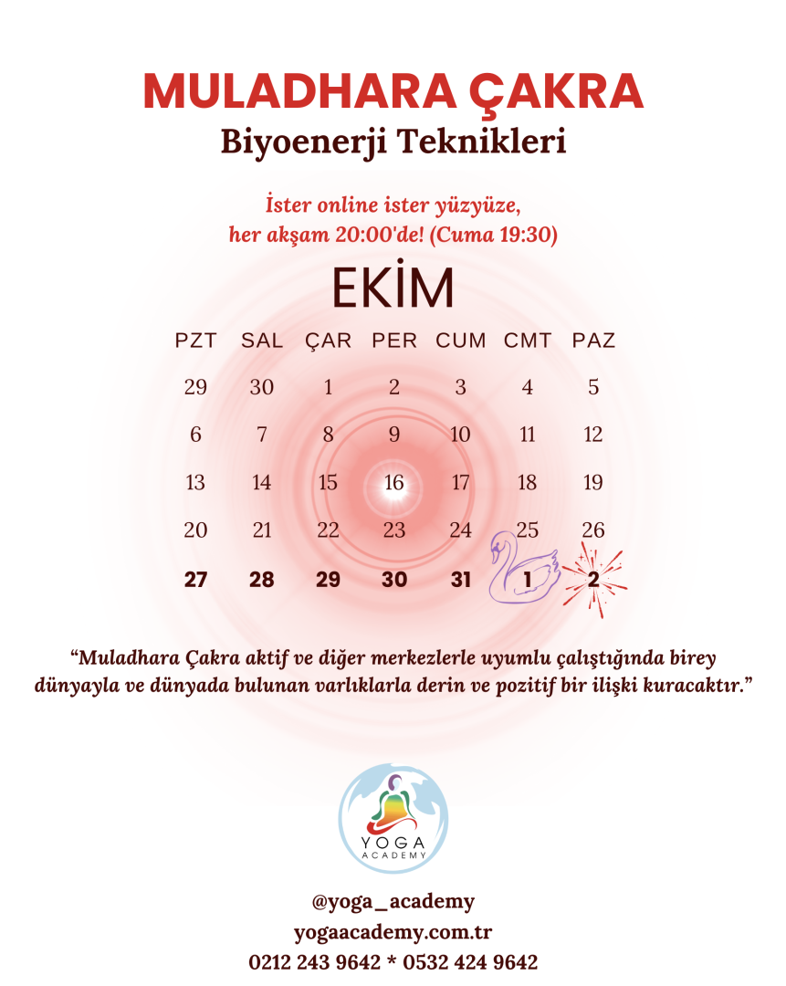 ÇAKRA ÇALIŞMALARI